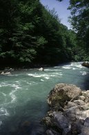 photo_3-5.jpg - JPEG - 145 ko - 445×680 px