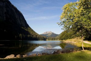 photo_1.jpg - JPEG - 326.7 ko - 1100×731 px